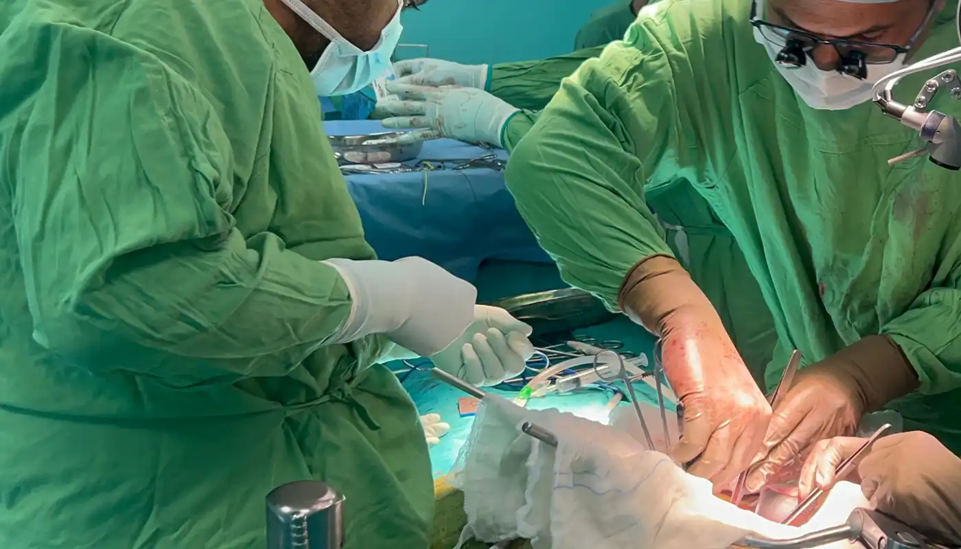 kidney-transp