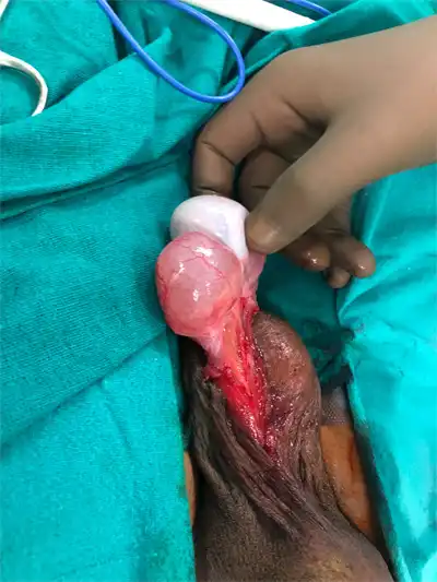 paediatric-img